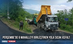 Perşembe'de 6 Mahalleyi Birleştiren Yola Sıcak Asfalt