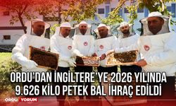 Ordu’dan İngiltere’ye 2026 Yılında 9.626 Kilo Petek Bal ihraç Edildi