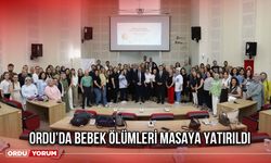 Ordu’da Bebek Ölümleri Masaya Yatırıldı