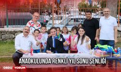 Anaokulunda Renkli Yıl Sonu Şenliği