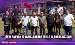 Ünye Rahvan At Yarışları'nda Atilla ve Toros Rüzgarı