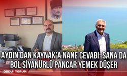 Aydın’dan Kaynak’a Nane Cevabı: Sana da Bol Siyanürlü Pancar Sapı Yemek Düşer