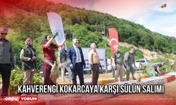 Kahverengi Kokarcaya Karşı Sülün Salımı