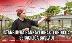 İstanbul’da Bankayı Bıraktı Ordu’da Seracılığa Başladı