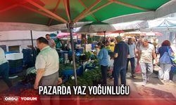 Pazarda Yaz Yoğunluğu