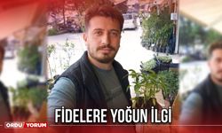 Fidelere Yoğun İlgi