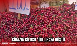 Kirazın Kilosu 100 Liraya Düştü