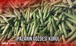 Pazarın Gözdesi Kürül