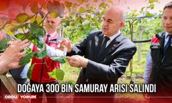 Doğaya 300 Bin Samuray Arısı Salındı