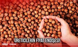 Üreticilerin Fiyat Endişesi!