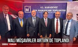 Mali Müşavirler Artvin’de Toplandı
