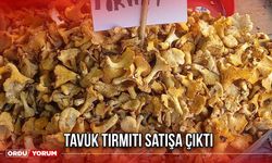 Tavuk Tırmıtı Satışa Çıktı