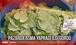 Pazarda Asma Yaprağı İlgi Gördü