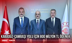 Kabadüz-Çambaşı Yolu İçin 800 Milyon TL Ödenek