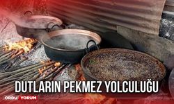 Dutların Pekmez Yolculuğu