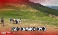 EMEP’ten Maden Tepkisi