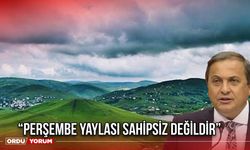“Perşembe Yaylası Sahipsiz Değildir”