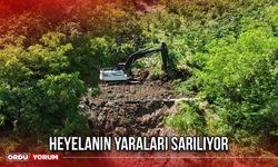 Heyelanın Yaraları Sarılıyor