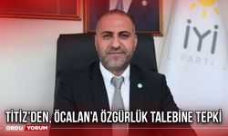 Titiz’den, Öcalan’a Özgürlük Talebine Tepki