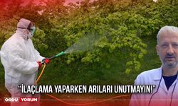 “İlaçlama Yaparken Arıları Unutmayın!”