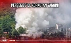 Perşembe’de Korkutan Yangın!