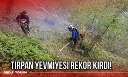 Tırpan Yevmiyesi Rekor Kırdı!