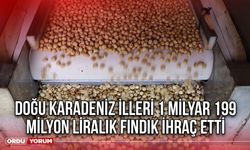 Doğu Karadeniz İlleri 1 milyar 199 milyon Liralık Fındık İhraç etti