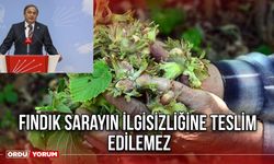 Fındık Sarayın İlgisizliğine Teslim Edilemez