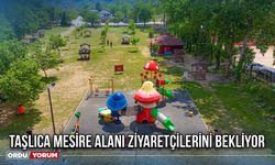 Taşlıca Mesire Alanı Ziyaretçilerini Bekliyor