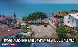 Timsah Adası’nın Yanı Başında Çevre Düzenlemesi