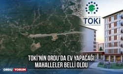 TOKİ'nin Ordu'da Ev Yapacağı Mahalleler Belli Oldu