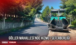 Göller Mahallesi’nde Hizmet Seferberliği