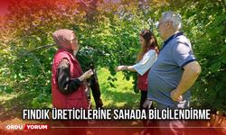Fındık Üreticilerine Sahada Bilgilendirme