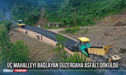Üç Mahalleyi Bağlayan Güzergaha Asfalt Döküldü