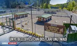 Ünye Belediyesi Can Dostları Unutmadı