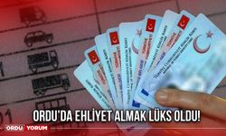 Ordu'da Ehliyet Almak Lüks Oldu!
