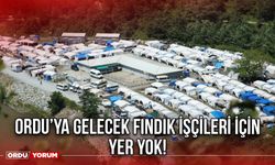 Ordu’ya Gelecek Fındık İşçileri İçin Yer Yok!