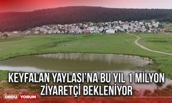 Keyfalan Yaylası’na Bu Yıl 1 Milyon Ziyaretçi Bekleniyor