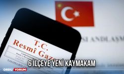 6 İlçeye Yeni Kaymakam