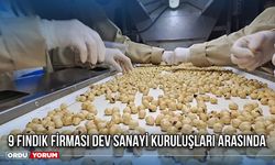 9 Fındık Firması Dev Sanayi Kuruluşları Arasında