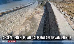 Ahsen Deresi Islah Çalışmaları Devam Ediyor