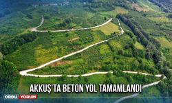 Akkuş'ta Beton Yol Tamamlandı