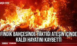 Fındık Bahçesinde Yaktığı Ateşin İçinde Kaldı hayatını Kaybetti