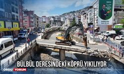 Bülbül Deresindeki Köprü Yıkılıyor