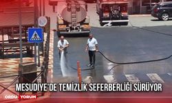 Mesudiye'de Temizlik Seferberliği Sürüyor