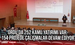 Ordu’da 252 Kamu Yatırımı Var: 154 Projede Çalışmalar Devam Ediyor
