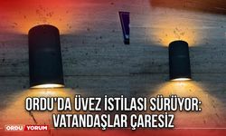 Ordu’da Üvez İstilası Sürüyor: Vatandaşlar Çaresiz