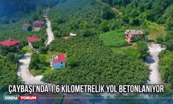 Çaybaşı'nda 1,6 Kilometrelik Yol Betonlanıyor