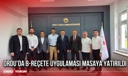 Ordu'da B-Reçete Uygulaması Masaya Yatırıldı