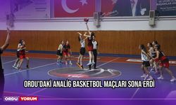 Ordu'daki Analig Basketbol Maçları Sona Erdi